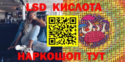 винт Ефремов