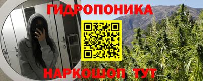 винт Ефремов
