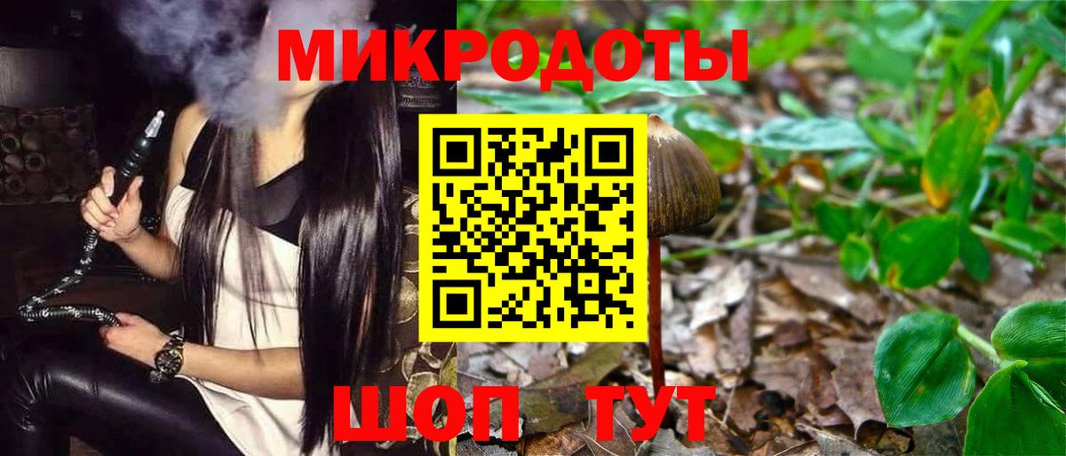 Благодарный  где купить наркоту  Псилоцибиновые грибы мицелий  Вход с VPN  Псилоцибиновые грибы Magic Shrooms 